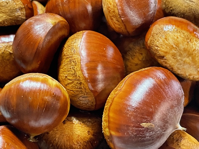 ピピの社長のブログから