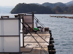 舞鶴湾　釣り筏