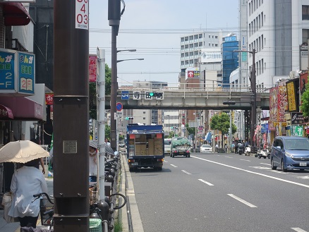 グリル「ポッケ」の野菜サラダ 