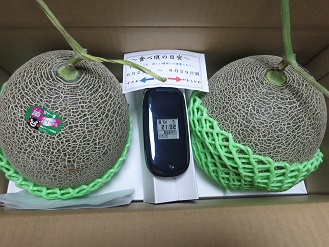 くまモン　メロン