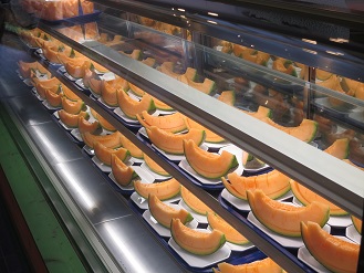 メロン　富良野で撮影