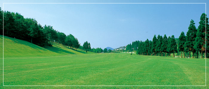 美しかったホール