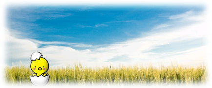 やさしさにいつでも逢える