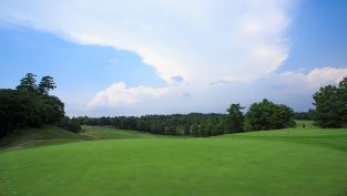 素晴らしかったレイアウト 