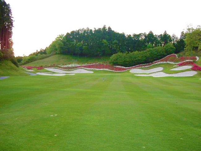 美しいバンカーは特許だそうだ